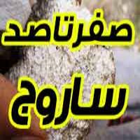 ساروج چیست؟