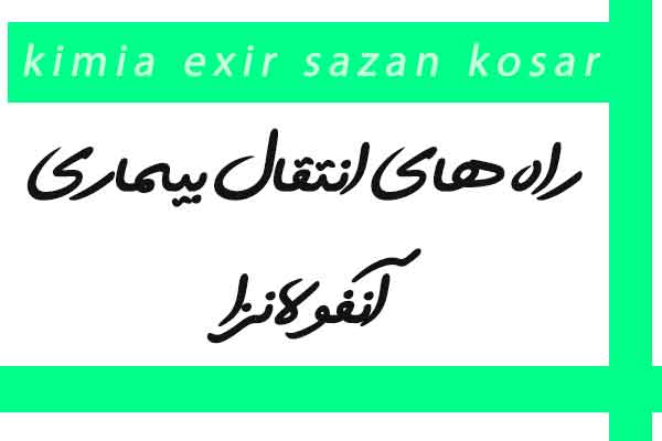 راه انتقال بیماری آنفولانزای مرغی