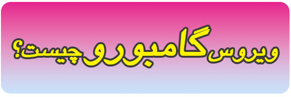 گامبورو چیست؟ گامبورو چیست؟