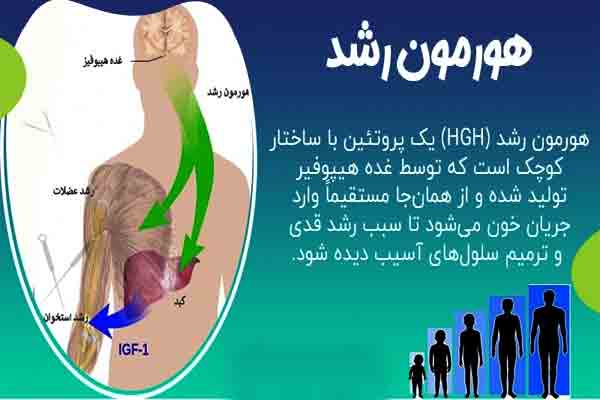 تصویر هورمون رشد