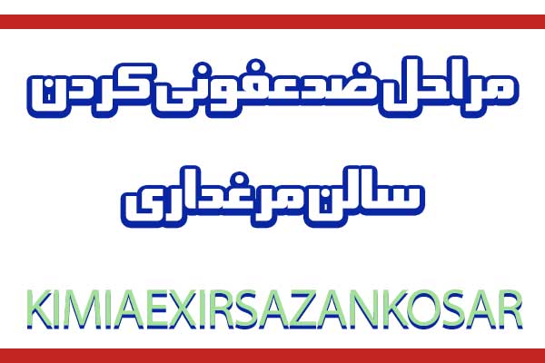 مراحل ضدعفونی کردن سالن مرغداری