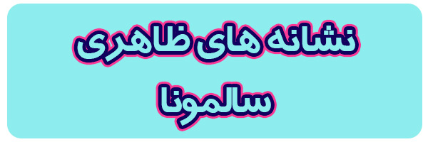 نشانه های بیماری سالمونا