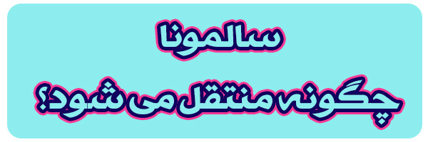 روش های انتقال سالمونا