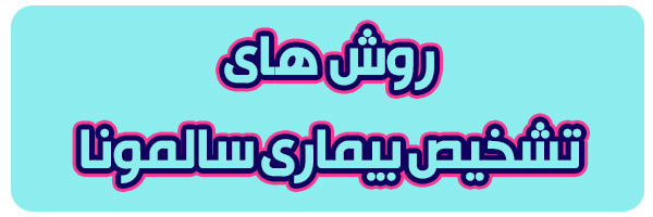 تشخیص بیماری سالمونا