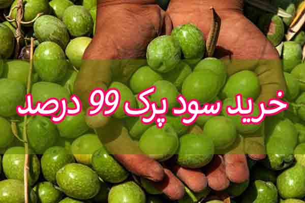 خرید سود پرک 99 درصد